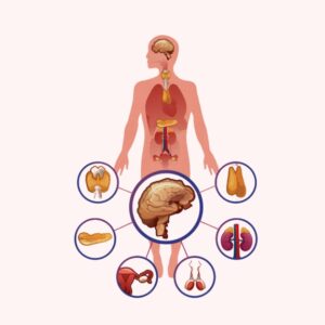 The Hormonal Obesity Code